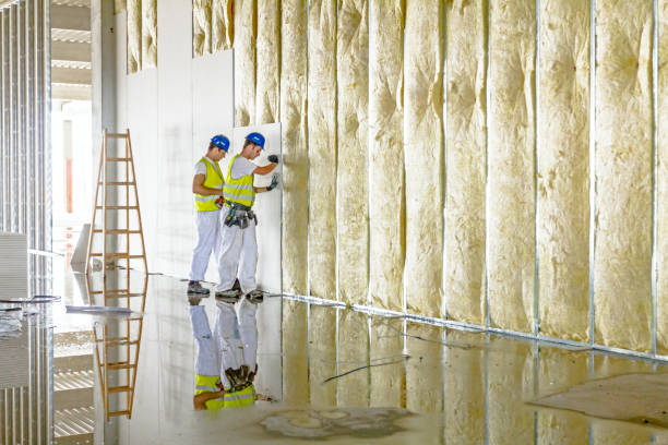 Best Insulation Repair Services  in Massillon, OH